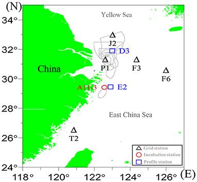 Clarifying Water Column Respiration and Sedimentary Oxygen Respiration Under Oxygen Depletion Off the Changjiang Estuary and Adjacent East China Sea